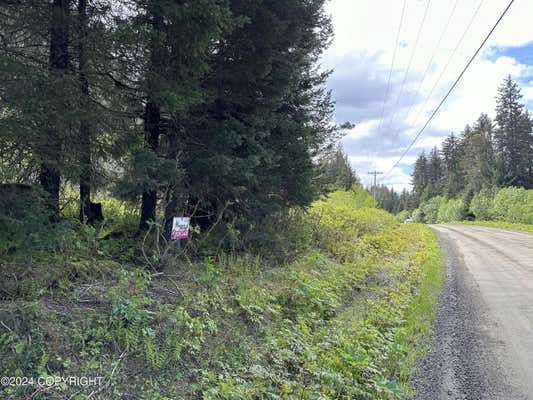 L32 B6 JAKOLOF BAY ROAD, SELDOVIA, AK 99663 - Image 1