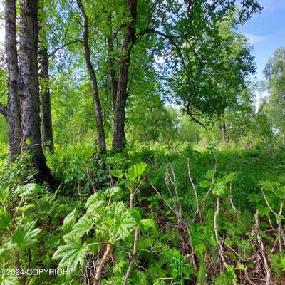 22578 S TRAPPERS DR, TRAPPER CREEK, AK 99683 - Image 1