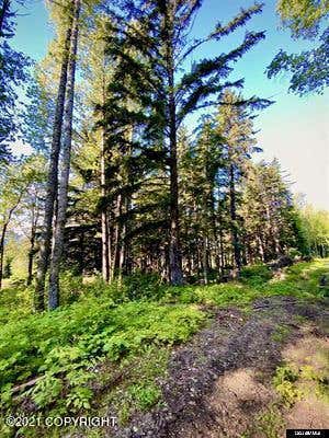 LOT B ORCHARD SUBDIVISION, HAINES, AK 99827, photo 4 of 7