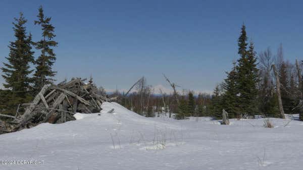 14953 JESSES TRAIL, NINILCHIK, AK 99639 - Image 1