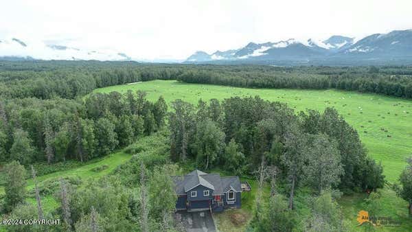 6217 N ENDES WAY, PALMER, AK 99645 - Image 1