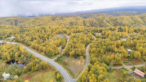 15852 N HOMESTEAD RD, WILLOW, AK 99688 - Image 1