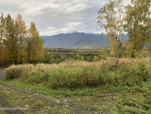 12724 S HUNTER CREEK DR, PALMER, AK 99645 - Image 1