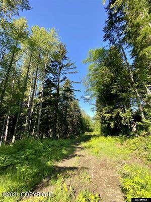 LOT B ORCHARD SUBDIVISION, HAINES, AK 99827, photo 1 of 7