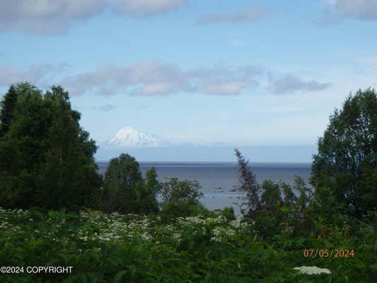 0000 OCEAN VIEW FRONT ROAD, NIKISKI/NORTH KENAI, AK 99635 - Image 1