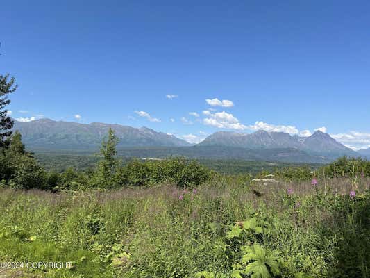 L15 N MCKENZIE DRIVE, PALMER, AK 99645 - Image 1