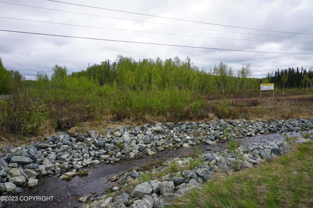 MILE 96.5 PARKS HWY, TALKEETNA, AK 99676, photo 1 of 6