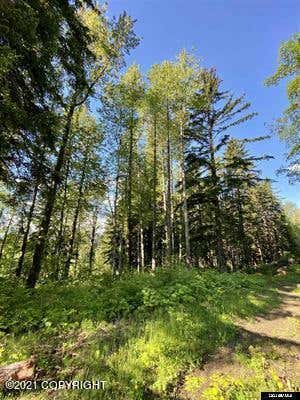 LOT B ORCHARD SUBDIVISION, HAINES, AK 99827, photo 5 of 7