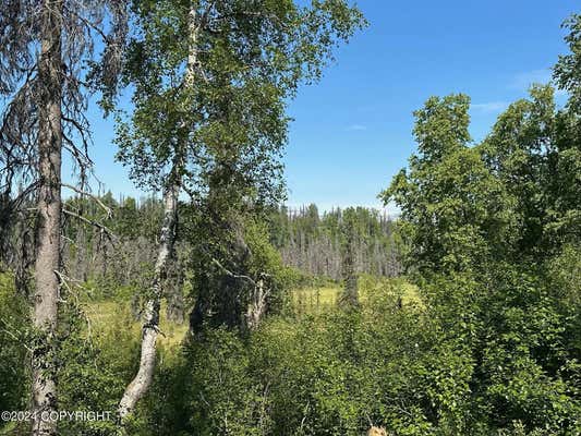 13030 W PETERSVILLE RD, TRAPPER CREEK, AK 99683 - Image 1