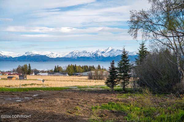 KNA CRESTED CRANE STREET, HOMER, AK 99603 - Image 1