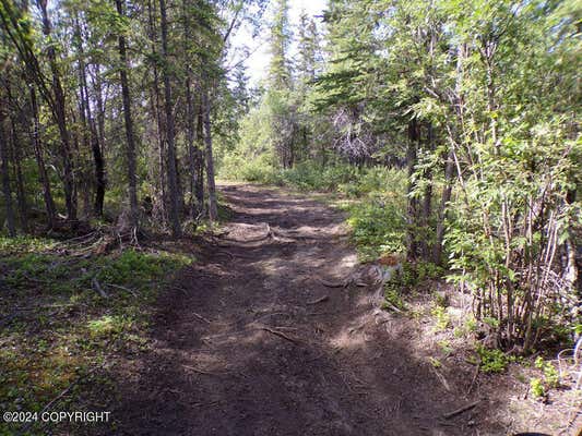 MILE 106.5 RICHARDSON HWY HIGHWAY, COPPER CENTER, AK 99573 - Image 1