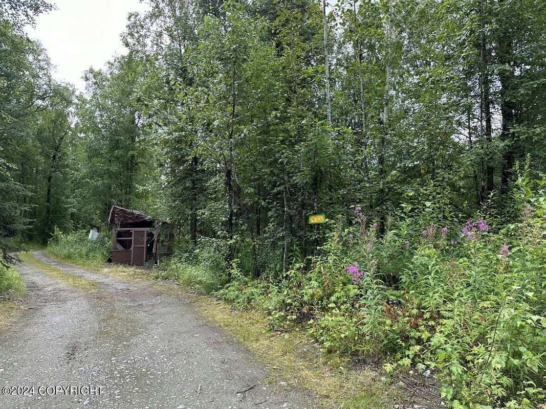 14702 E LOVE LEE LN, TALKEETNA, AK 99676, photo 1 of 11