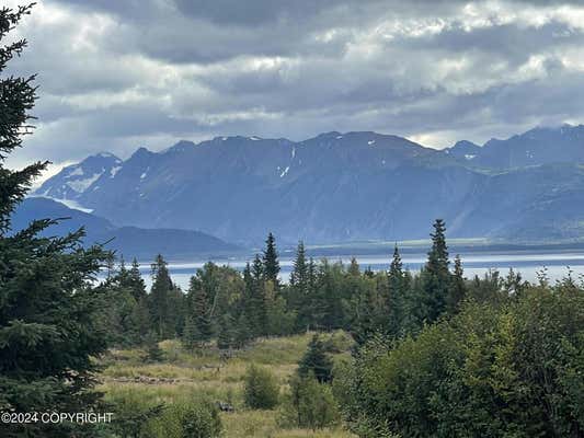 54490 ROLLING MEADOWS RD, HOMER, AK 99603 - Image 1