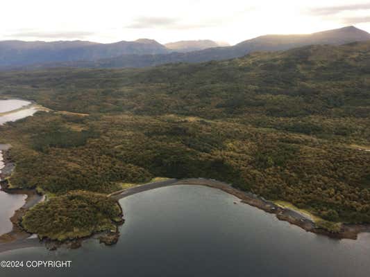 000 AMOOK ISLAND, KODIAK, AK 99615 - Image 1