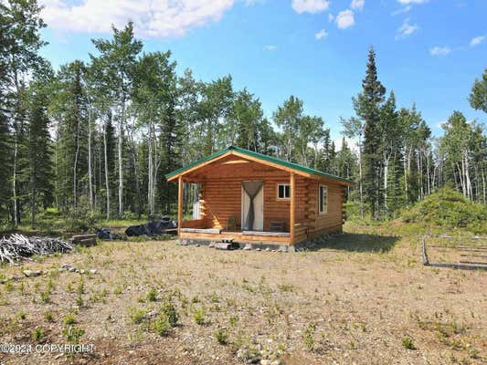 L17 B8 WONTORSKI WAY, TOK, AK 99780 - Image 1