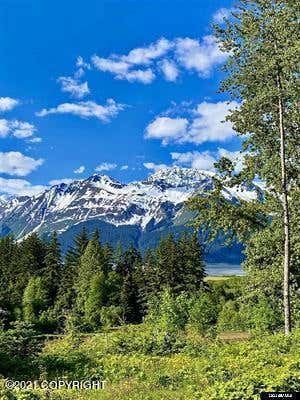 LOT B ORCHARD SUBDIVISION, HAINES, AK 99827, photo 3 of 7