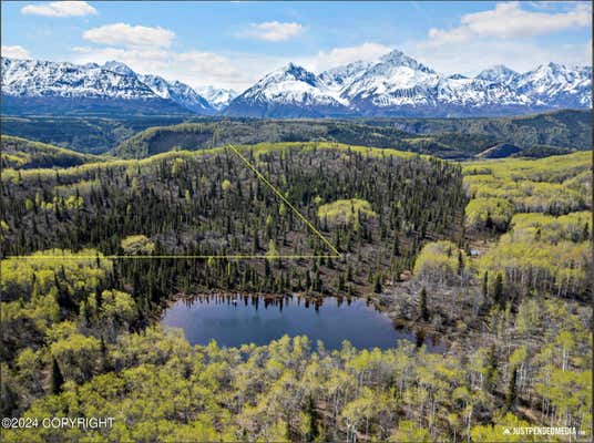 B005 PINOCHLE CREEK ROAD, CHICKALOON, AK 99674 - Image 1