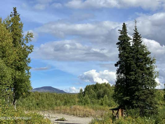 20771 E BIRCH CREEK BLVD, TALKEETNA, AK 99676 - Image 1