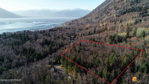 L7 CHUGACH PARK VIEW ESTATES, INDIAN, AK 99540 - Image 1