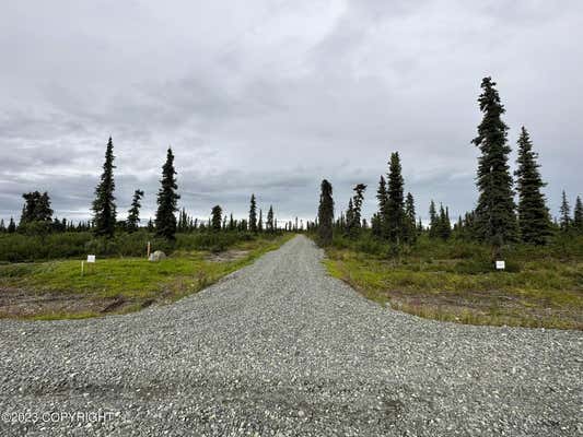 49486 S TIMBERWOLF ROAD, CHICKALOON, AK 99674 - Image 1