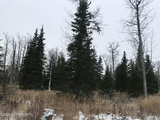 65145 GLENWOOD AVE, NINILCHIK, AK 99639 - Image 1