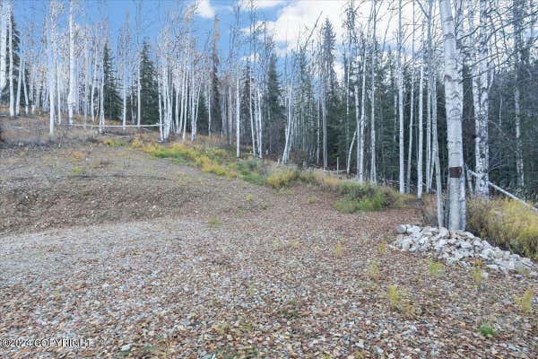 TRACT-C BIRCH BEND COURT, FAIRBANKS, AK 99712 - Image 1