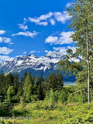 LOT C ORCHARD SUBDIVISION, HAINES, AK 99827 - Image 1