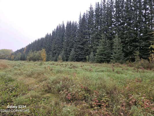 NHN SKI BOOT HILL ROAD, FAIRBANKS, AK 99701, photo 2 of 5