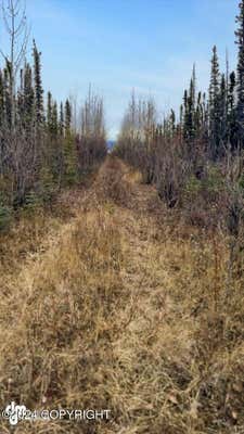 MILE 183.5 GLENN HIGHWAY, GLENNALLEN, AK 99588 - Image 1