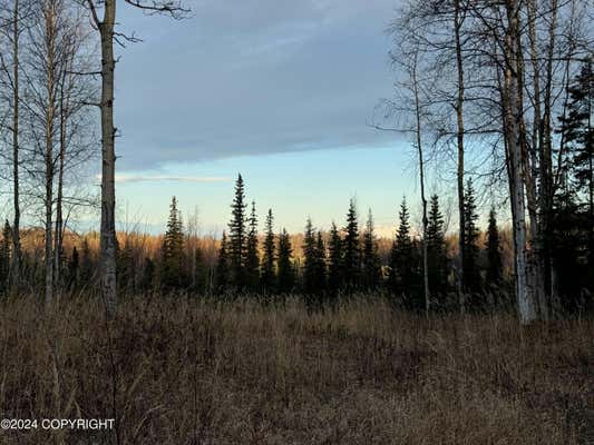 39414 FLATSTONE CT, SOLDOTNA, AK 99669 - Image 1