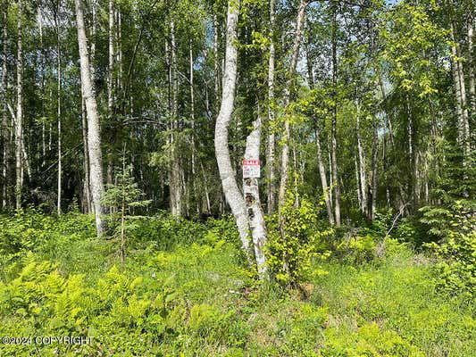 48484 S GRIZZLY BEAR CIR, WILLOW, AK 99688 - Image 1