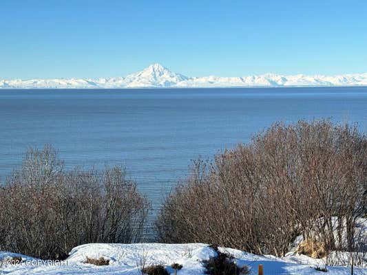 17295 DISCOVERY DR, CLAM GULCH, AK 99568 - Image 1