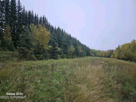 NHN SKI BOOT HILL ROAD, FAIRBANKS, AK 99701, photo 3 of 5