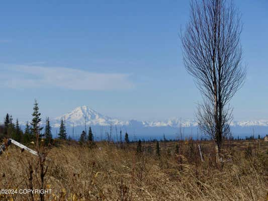 17775 SW CARIBOU HILLS REM, NINILCHIK, AK 99639 - Image 1