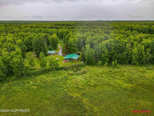 9239 E DEVONSHIRE DR, TRAPPER CREEK, AK 99683 - Image 1