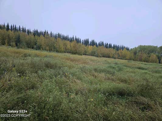 NHN SKI BOOT HILL ROAD, FAIRBANKS, AK 99701, photo 5 of 5