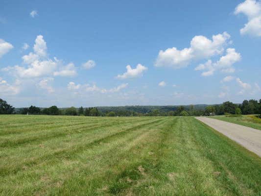 LOT 32 STATE ROUTE 86, SAEGERTOWN, PA 16433 - Image 1