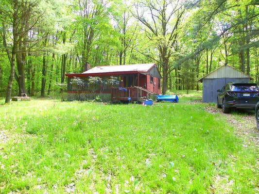 234 GATE LANE, TIONESTA, PA 16353 - Image 1