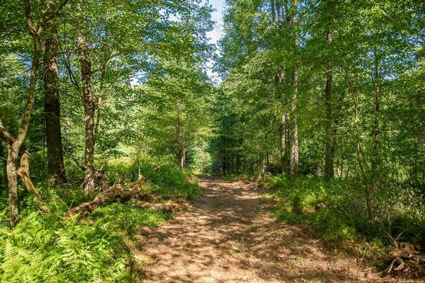 LOT #2 COUNTY LINE ROAD, VENUS, PA 16364 - Image 1