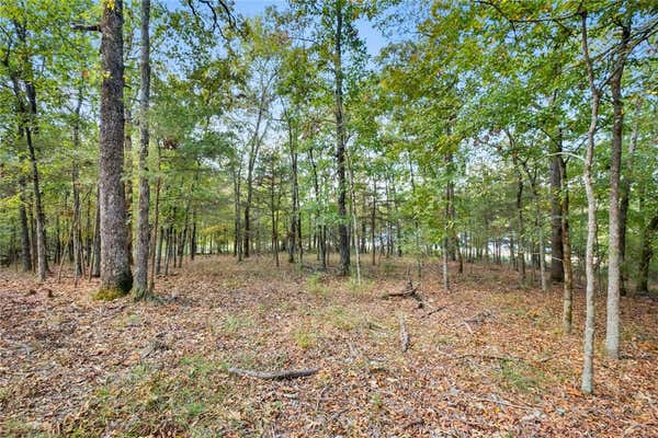 10601 SLATE GAP RD LOT 1, GARFIELD, AR 72732, photo 2 of 19