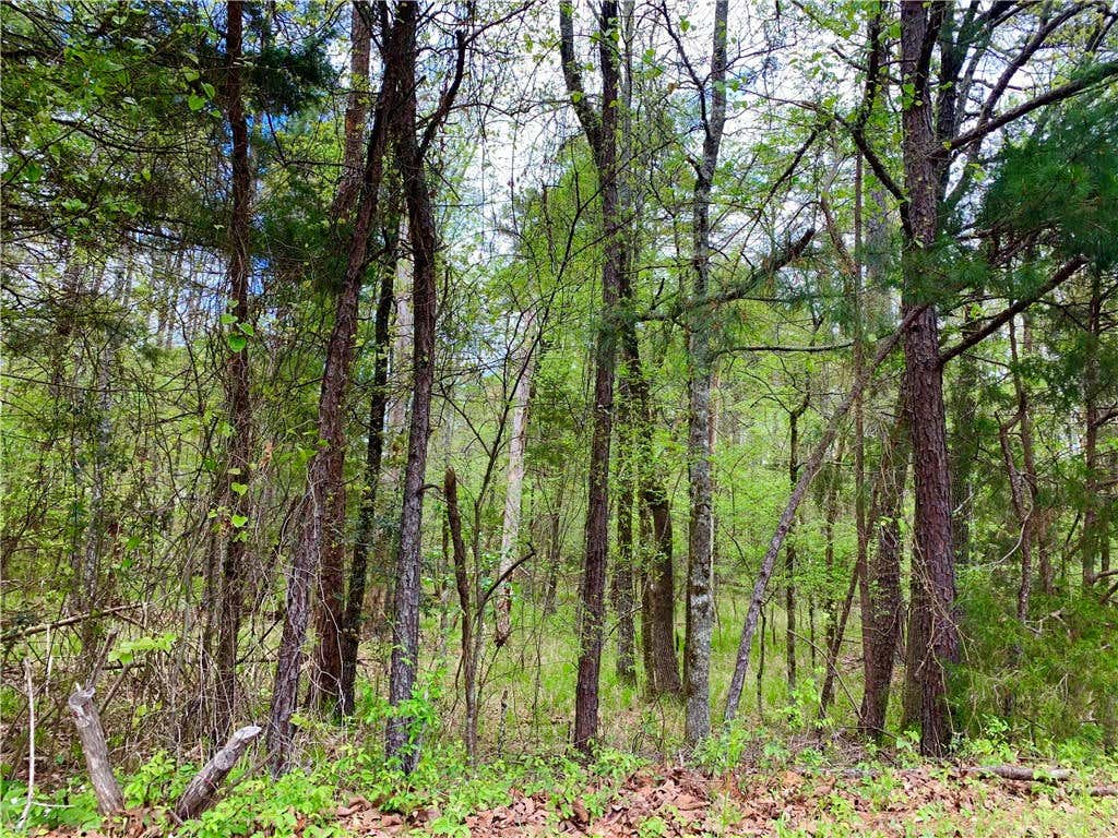 JABALI WAY, HOT SPRINGS, AR 71909, photo 1 of 11