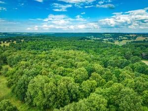 Harrison, Arkansas, 72601, United States, ,5 BathroomsBathrooms,Residential,Active,1769947