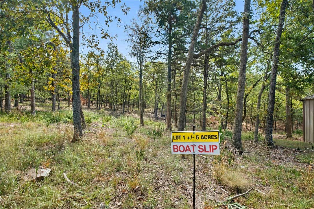 10601 SLATE GAP RD LOT 1, GARFIELD, AR 72732, photo 1 of 19