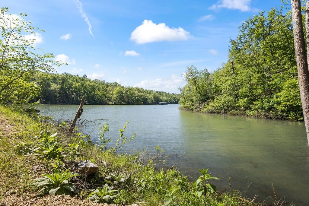 Garfield, Arkansas, 72732, United States, 6 Bedrooms Bedrooms, ,6 BathroomsBathrooms,Residential,Active,2010167