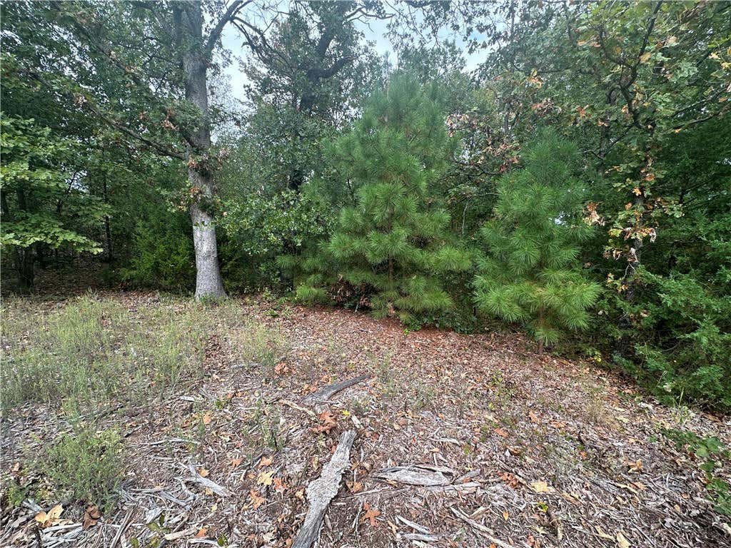 LOT 3 ORKNEY SUB STONEYKIRK DRIVE, BELLA VISTA, AR 72715, photo 1 of 2