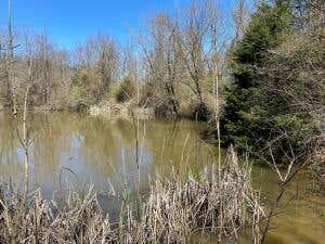 CR 905, GREEN FOREST, AR 72638 - Image 1