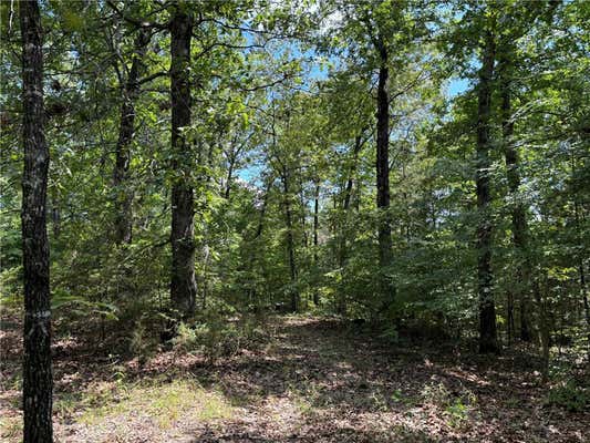 LOT 1 AR-333, ST. JOE, AR 72675, photo 4 of 13