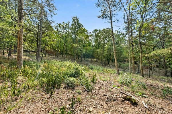 10601 SLATE GAP RD LOT 1, GARFIELD, AR 72732, photo 3 of 19