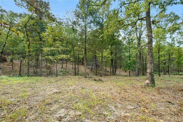 10601 SLATE GAP RD LOT 1, GARFIELD, AR 72732, photo 4 of 19