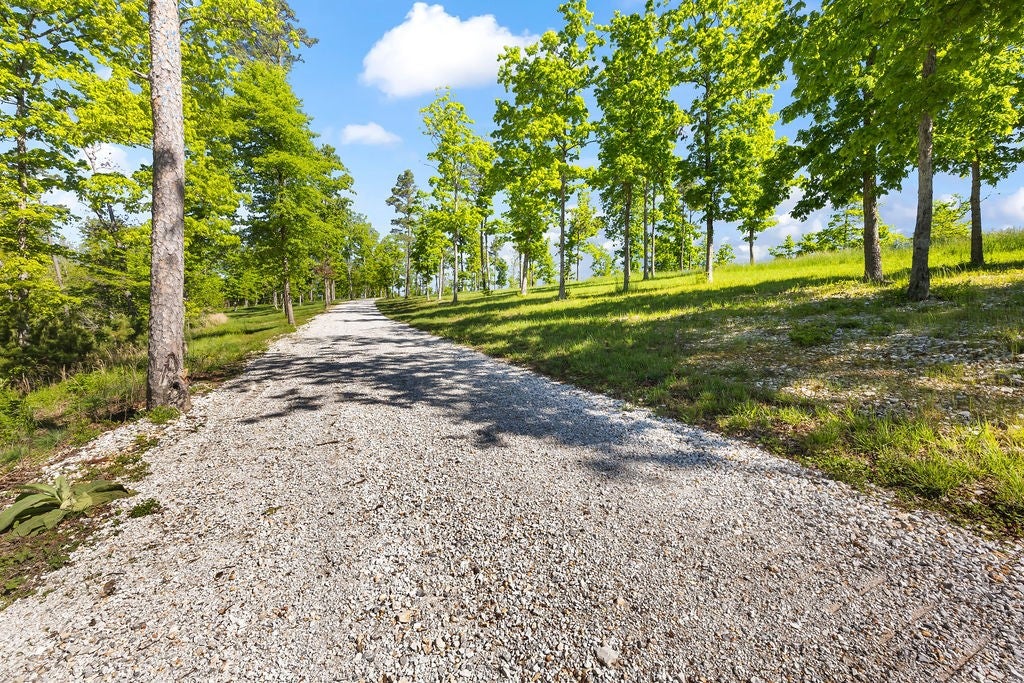 Garfield, Arkansas, 72732, United States, 6 Bedrooms Bedrooms, ,6 BathroomsBathrooms,Residential,Active,2010167